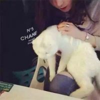 取个郁闷的网名