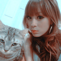 成语网名猜傍