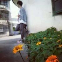 七字凄凉网名