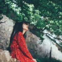 脑叶公司头像图片