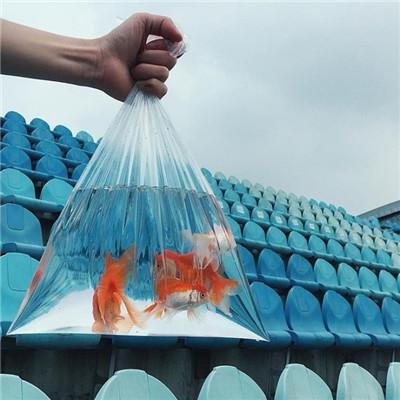 2023年最新微信好运头像风景好看