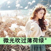 不再犯贱的网名