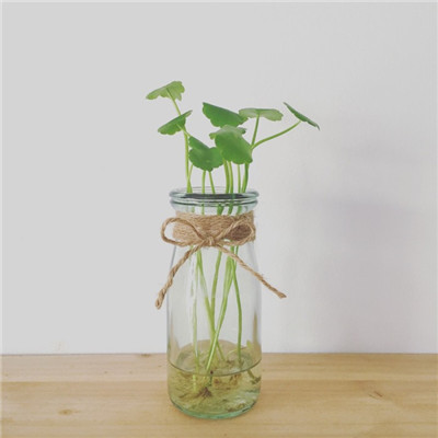 分手后后悔网名