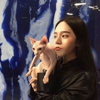 头像用动物头像好吗