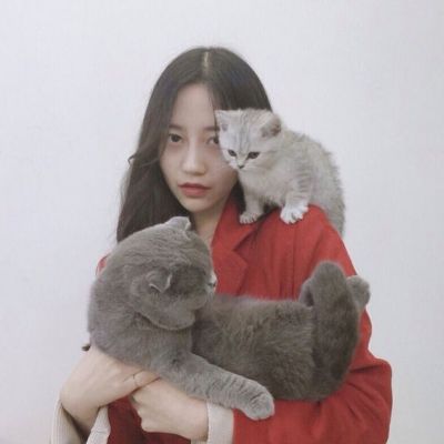 又萌又自然的网名