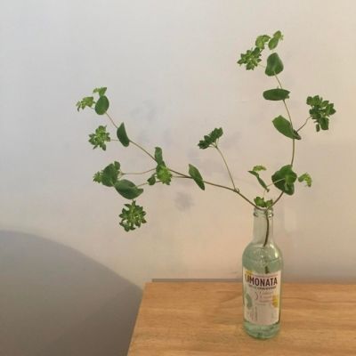 高清头像简约唯美清新