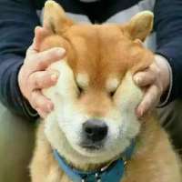 炫舞很屌的网名