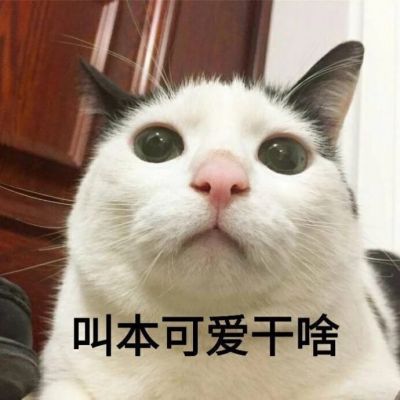 4个字的内涵网名