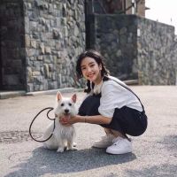 个性qq网名男生阳光