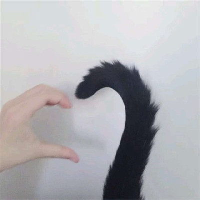 个性签名微信头像图片