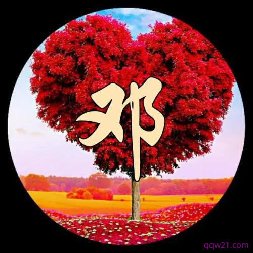 微信图片头像2023转运