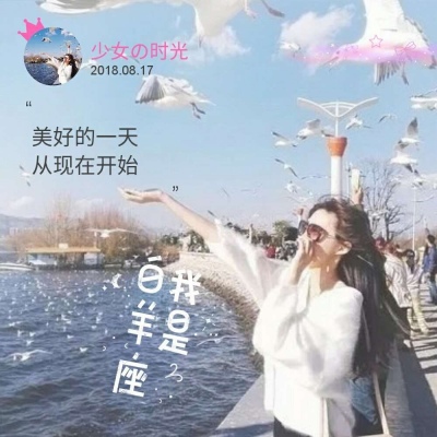 12星座头像