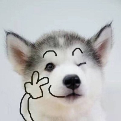 小狗微信头像图片大全可爱