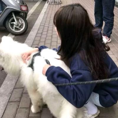 女网图头像霸气高冷戴口罩