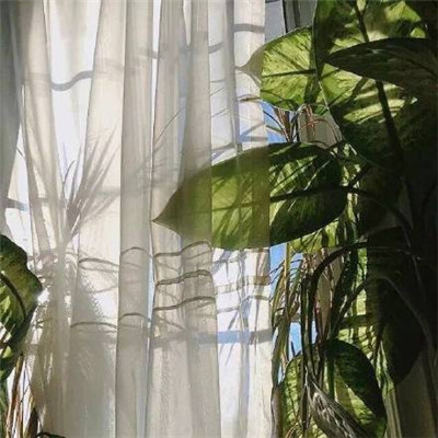 头像大全图片简约干净