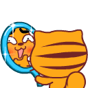 动态头像大全猫咪