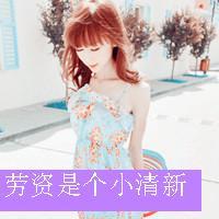 带文字头像的图片