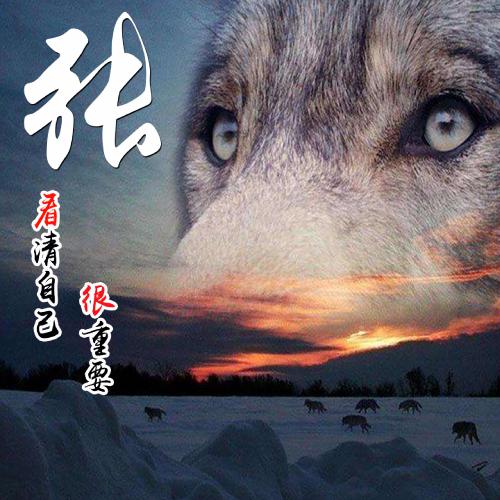 微信头像2023 商务