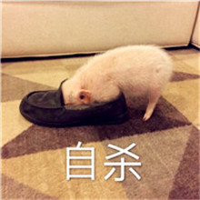 李姓微信头像带文字