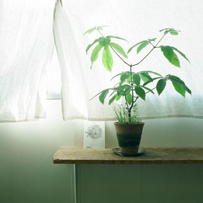 高清头像简约唯美清新