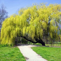 头像风景图片大全 大自然高清