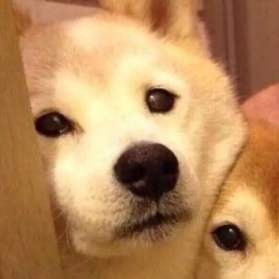 比较内涵邪恶的网名