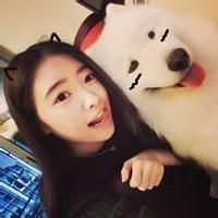 宠物头像女