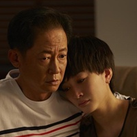 傻瓜 笨蛋=情网名