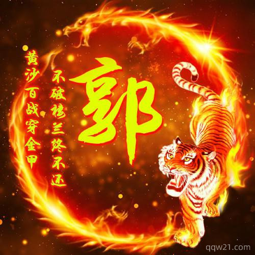 一霸天下老虎姓氏头像