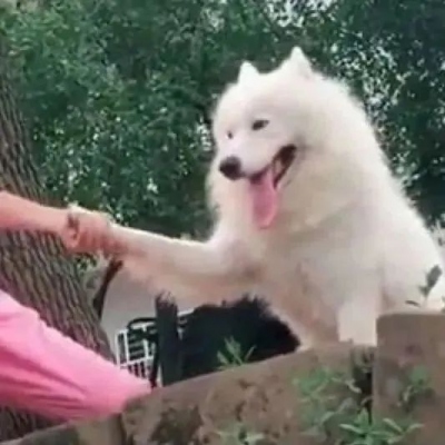 笑死人的头像图片 搞怪