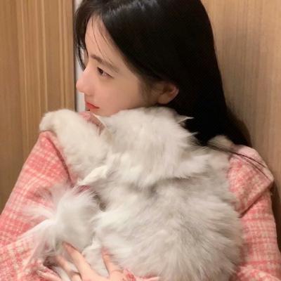 含符号淑女昵称男生网名