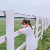 qq猫咪网名