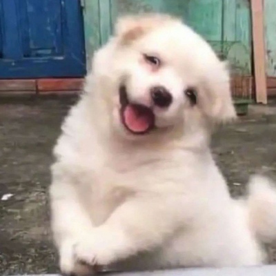 笑死人的头像哭笑不得