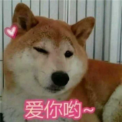 搞笑狗头像大全