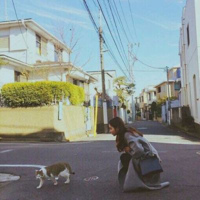 伪装骗不了自己网名