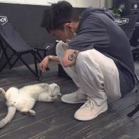 男人成熟稳重头像