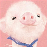 卡通头像简笔画图片大全