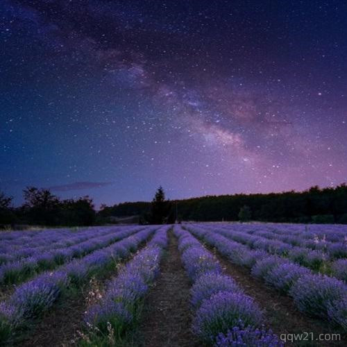 梦幻冰紫色星空头像