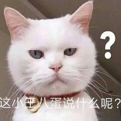 污的脱俗的网名
