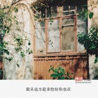 文字头像在线