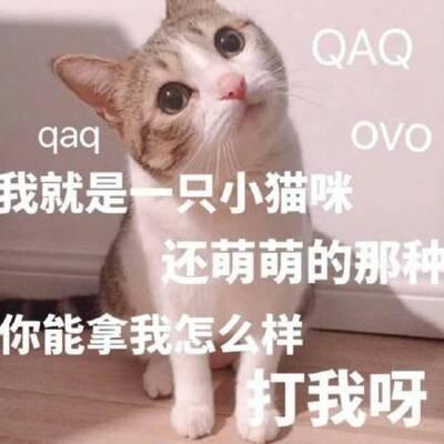 搞笑群头像大全逗比