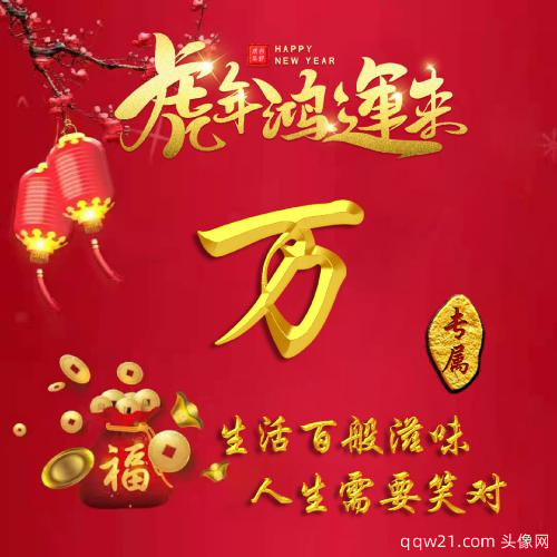 胜利粉丝的网名