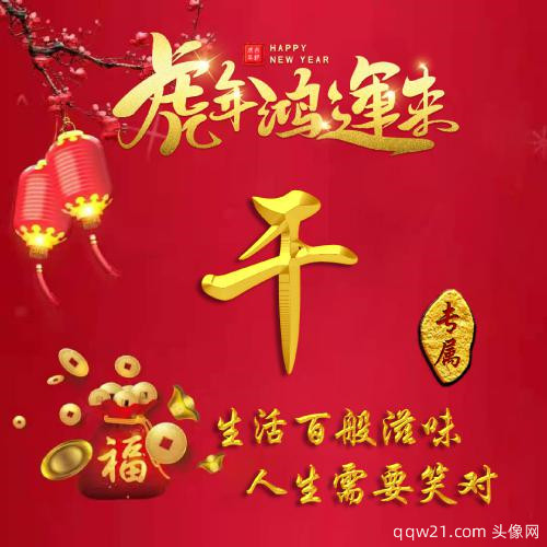 2023虎年专用头像红色姓氏