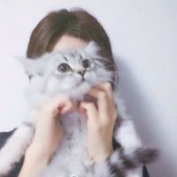 新浪博客网名