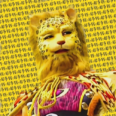 2022金钱豹头像