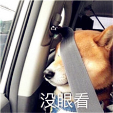张姓微信头像带文字