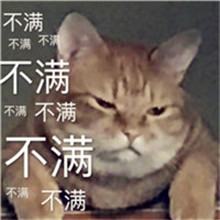 微信头像带文字