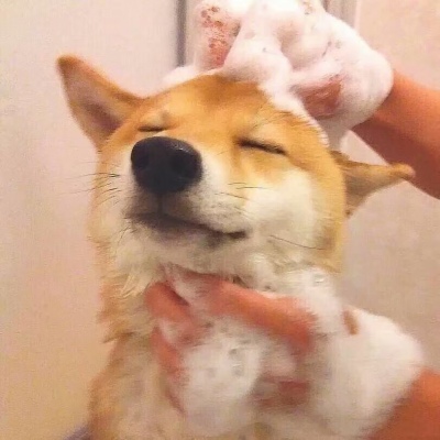 搞怪狗狗头像