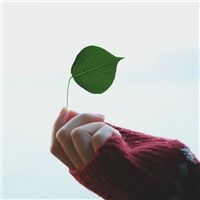带各自安好的网名