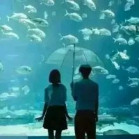 清纯网名情侣